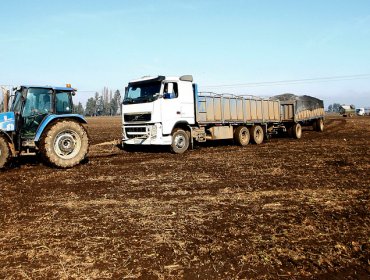 Ministro Walker asegura que la Modernización Tributaria beneficiará al 92% de los agricultores