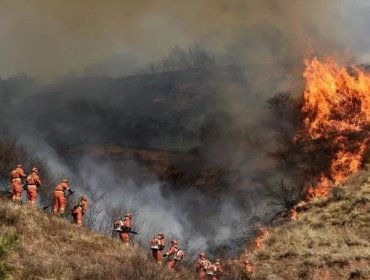 Unos 30 bomberos fueron encontrados muertos durante incendio forestal en China