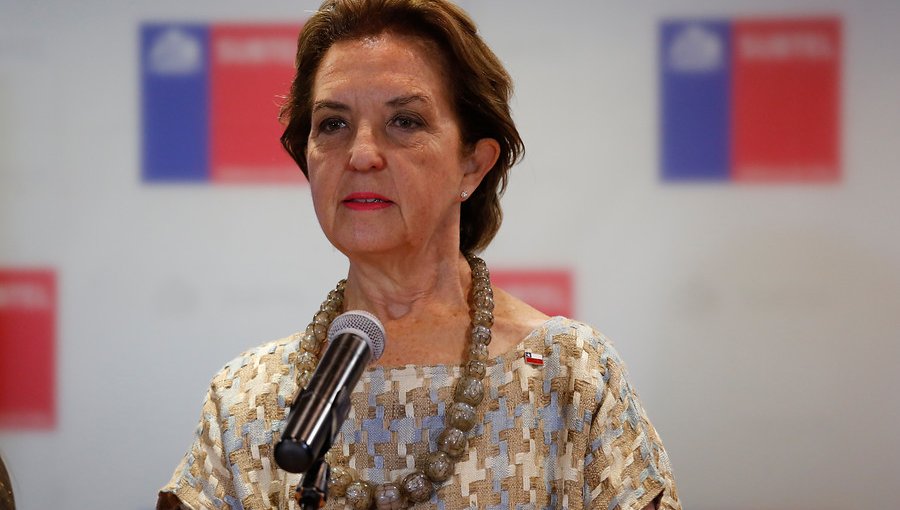 Ministra Hutt afirmó que llegada de aerolínea de bajo costo aumenta oferta de vuelos