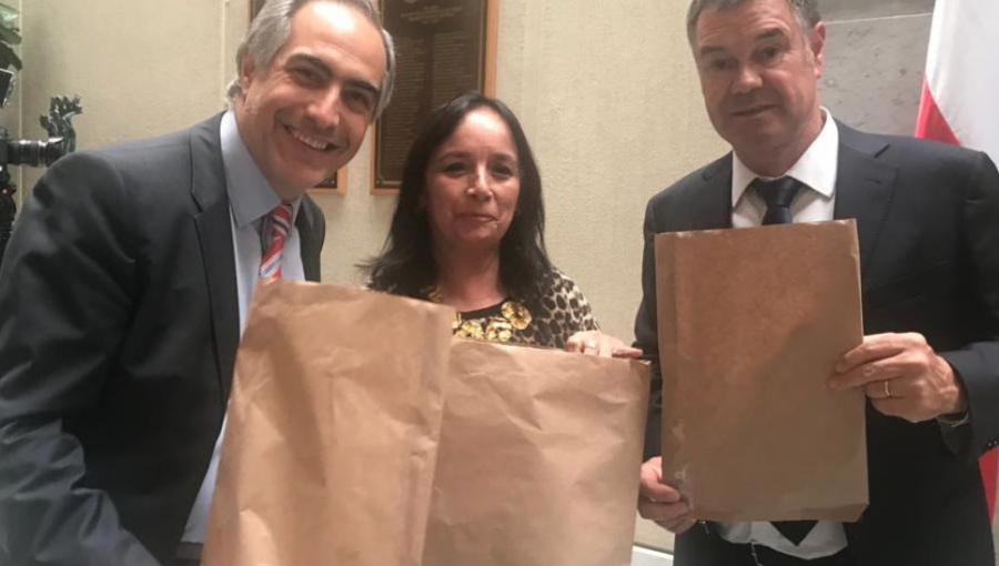 Proyecto de ley busca que el comercio entregue al menos una bolsa biodegradable gratis