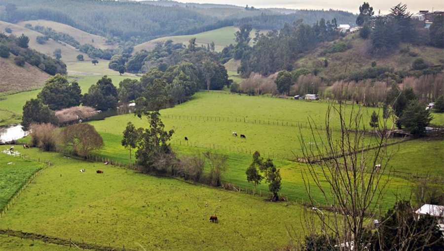 Anuncian comisión investigadora por venta de tierras indígenas y en especial el caso Ubilla