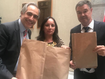 Proyecto de ley busca que el comercio entregue al menos una bolsa biodegradable gratis