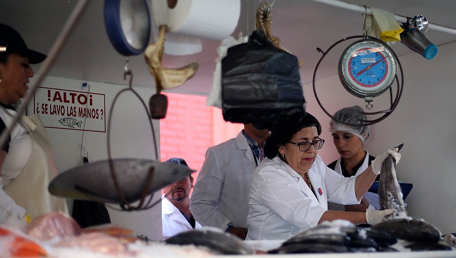 Seremi de Salud fiscalizó condición de pescados y mariscos en Santiago