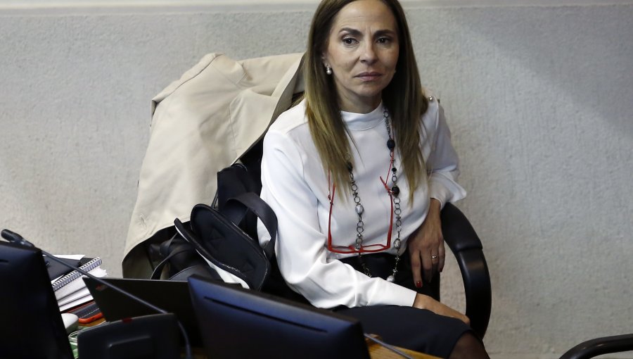 Ministra Isabel Pla califica de "héroe" a conserje que murió por impedir agresión a mujer