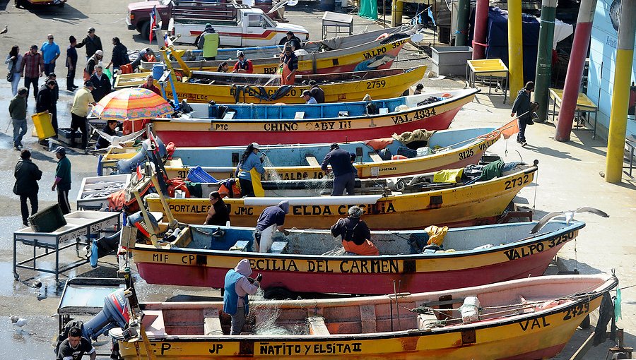 Gobierno pidió apoyo del Parlamento ante modificaciones a Ley Corta de Pesca