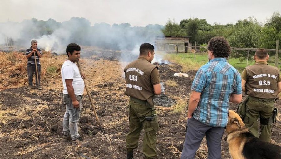 Conaf extiende hasta el 30 de abril la prohibición de realizar quemas agrícolas en la región de Valparaíso