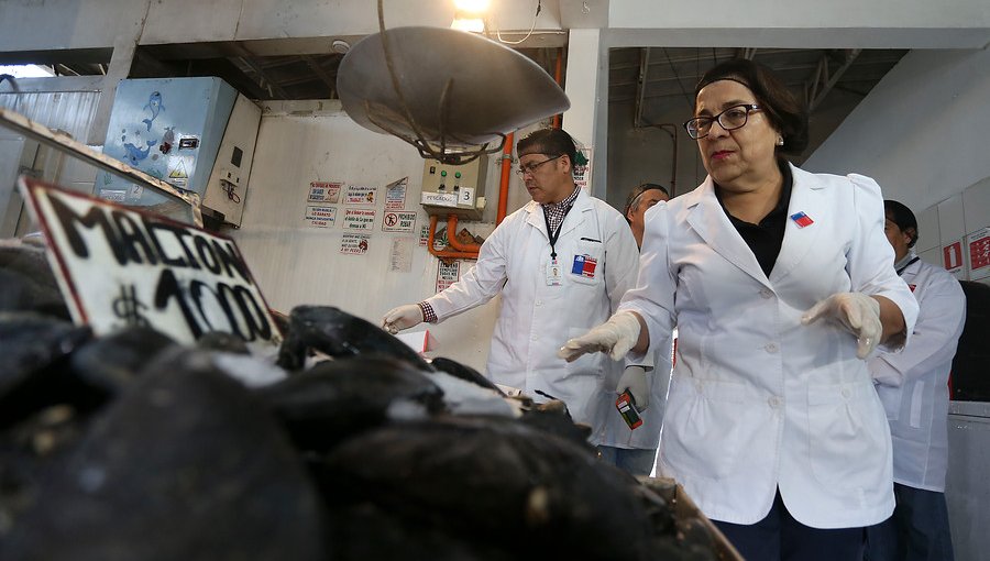 Seremi de Salud fiscalizó Terminal Pesquero de Santiago