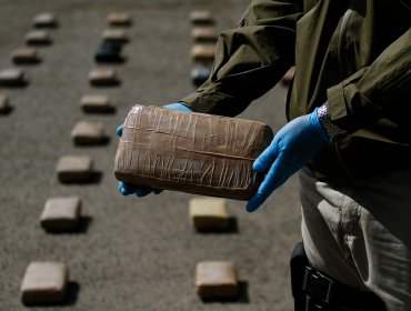 PDI de Arica logró incautar casi media tonelada de marihuana tipo cripy