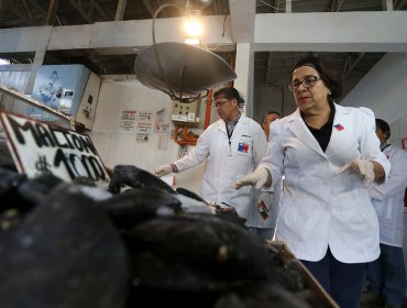 Seremi de Salud fiscalizó Terminal Pesquero de Santiago
