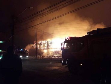 Incendio destruyó mercado municipal de Victoria: 100 comerciantes damnificados