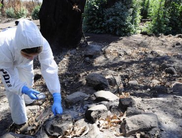 Conaf capacitó a detectives que formarán la Brigada Investigadora de Delitos Medioambientales de Valparaíso