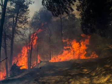 Dictan primera condena por incendio bajo estado de excepción en La Araucanía