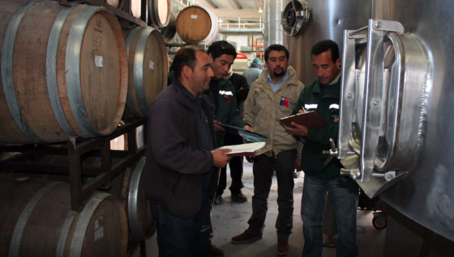 Agricultura anunció que el 10% de las fiscalizaciones a bodegas de vino arrojaron anomalías