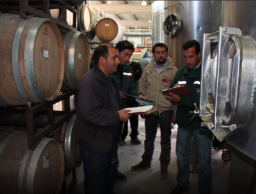 Agricultura anunció que el 10% de las fiscalizaciones a bodegas de vino arrojaron anomalías