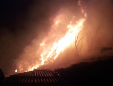 0,5 hectáreas de pastizales consumió incendio forestal en el límite entre Viña y Quilpué