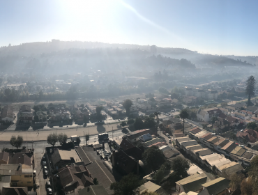 Humo de incendio forestal entre Viña y Quilpué se concentra en el plan de la Ciudad Jardín