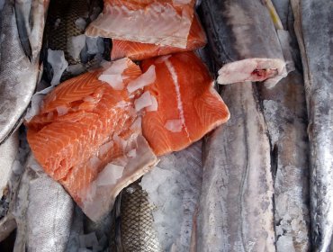 Greenpeace recordó los efectos colaterales que tiene la ingesta de salmón
