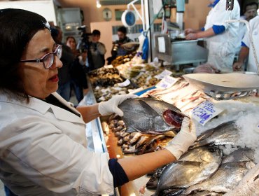 Seremi Metropolitana de Salud inició 70 sumarios y decomisó 404 kilos de pescados y mariscos