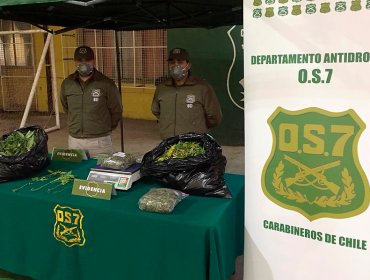 Sección OS7 de Carabineros de Iquique detuvo a banda que portaba 190 kilos de droga