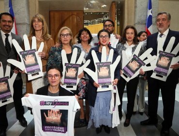 Parlamentarios comprometen celeridad para ley que sanciona violencia en pololeo