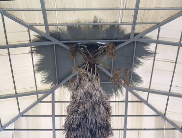 Sebastián Mejía presentará su obra fotográfica en el museo Violeta Parra