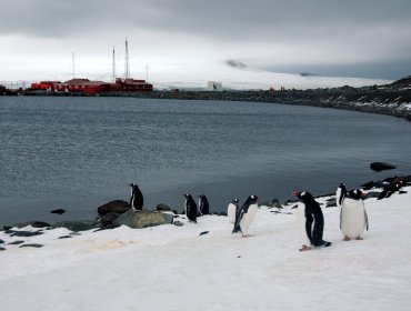 Armada confirma que retiro de basura en la Antártica aumentó 3 veces en 20 años