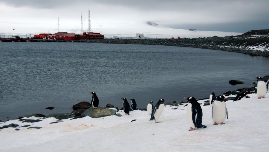 Armada confirma que retiro de basura en la Antártica aumentó 3 veces en 20 años
