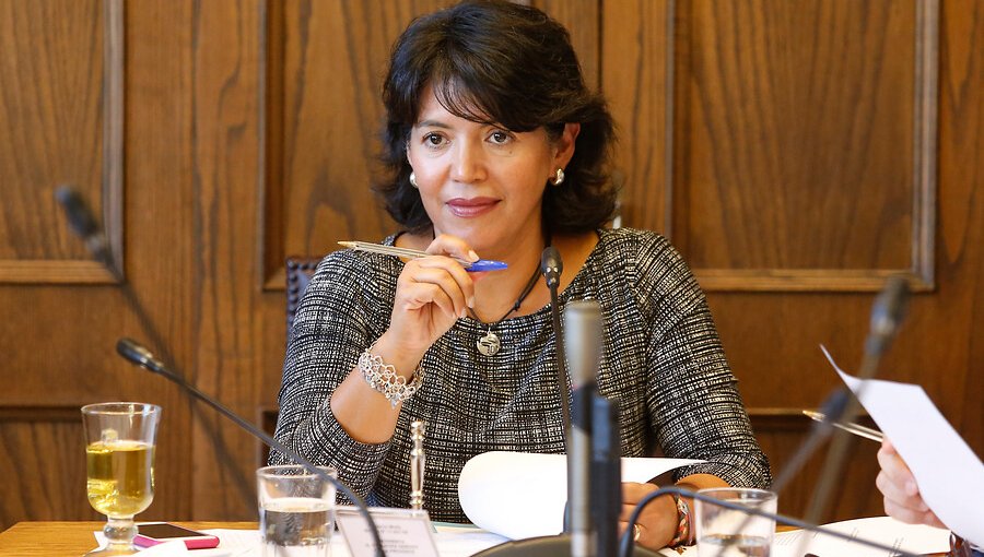 Senadora Yasna Provoste acusa abandono del Gobierno a la educación pública