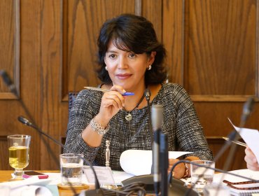 Senadora Yasna Provoste acusa abandono del Gobierno a la educación pública