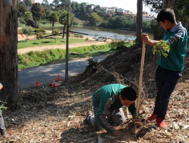 Viña del Mar conmemoró el Día Mundial de la Madre Tierra plantando cerca de 300 especies nativas