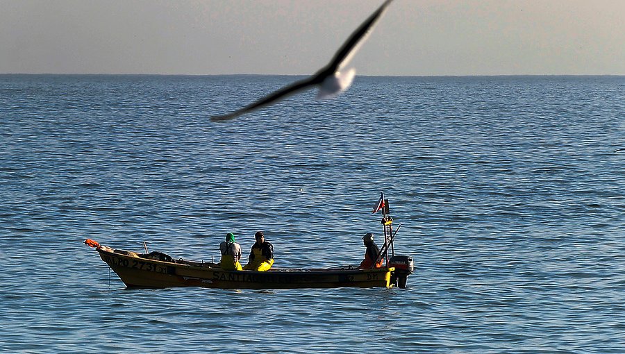 Cámara aprobó proyecto para que pescadores capturen salmones a mar abierto