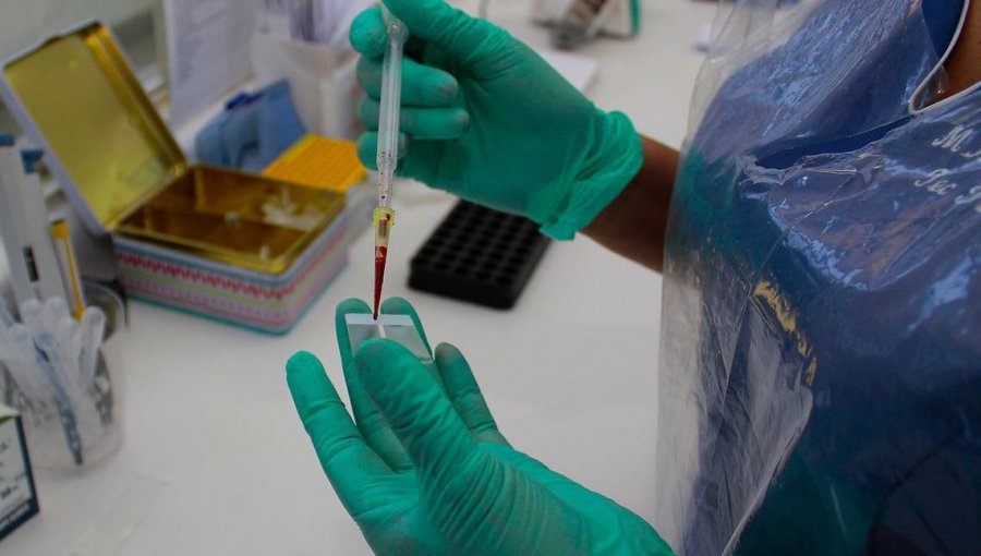 Confirman nuevo caso de virus Hanta: Paciente está grave en hospital de Santiago