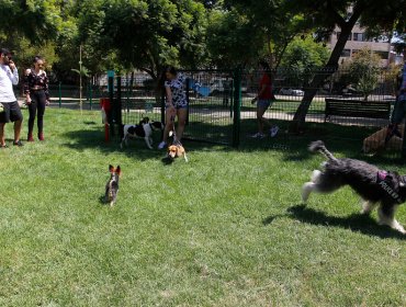 Solo 15 comunas cumplen estándar de metros cuadrados de aéreas verdes por habitante