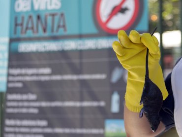 Senado respaldó plan de prevención y control sobre el virus Hanta