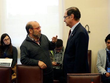 Ley de Adopciones: Movilh destaca aprobación de informe financiero del proyecto