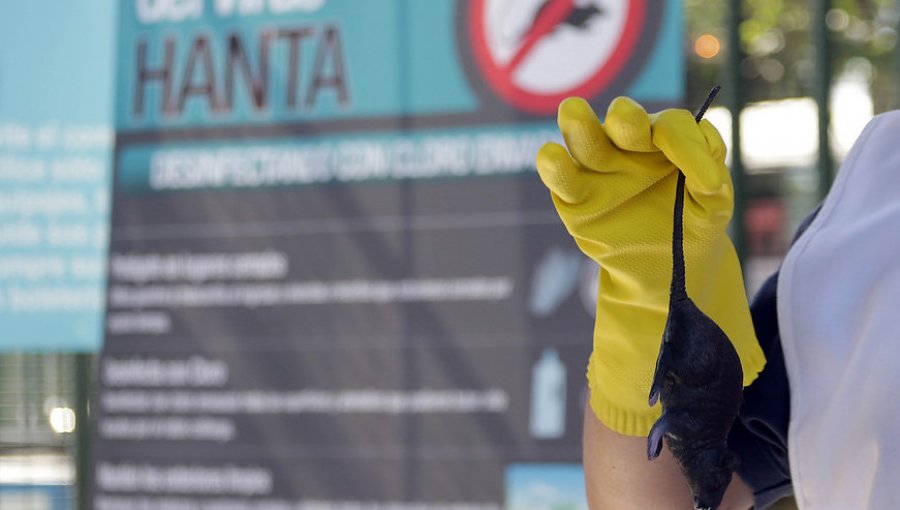 Senado respaldó plan de prevención y control sobre el virus Hanta
