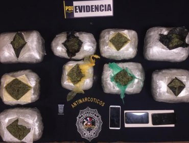 Perro de la PDI La Calera detectó casi 7 kilos de marihuana en equipaje de un bus