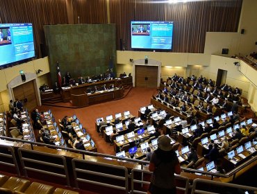 Comisión aprobó cambiar el nombre a "Cámara de Diputados y Diputadas"