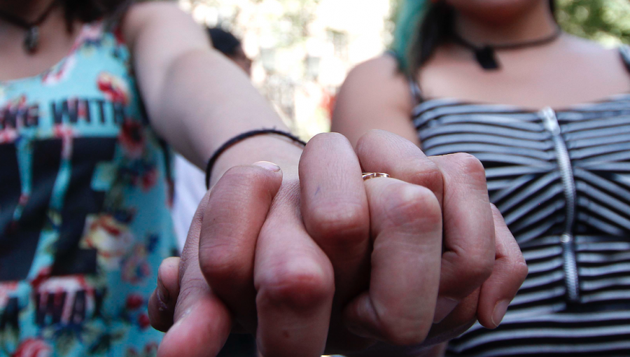 Fonasa se abre a incorporar a parejas lesbianas en la fertilización in vitro