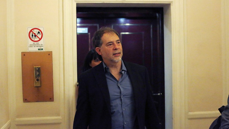 Senador Girardi presenta proyecto para prohibir transporte marítimo de animales vivos