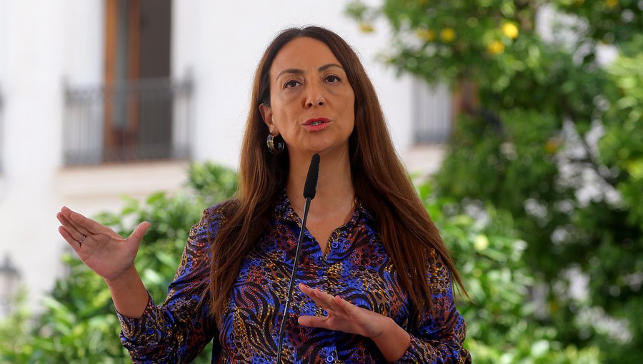 Cecilia Pérez defendió viaje de los hijos del Presidente Piñera a gira por Asia