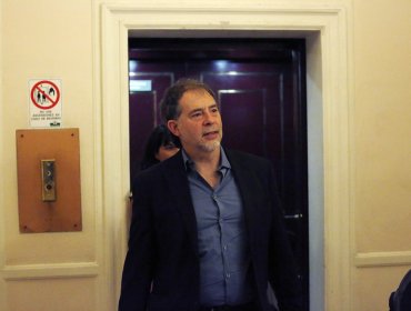 Senador Girardi presenta proyecto para prohibir transporte marítimo de animales vivos