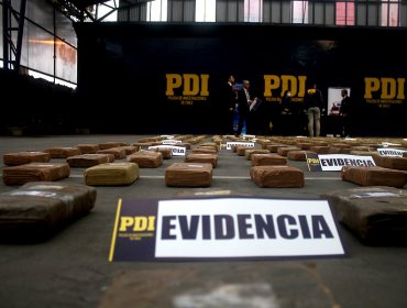 Detienen en Iquique a tres delincuentes con 464 kilos de marihuana tipo creepy