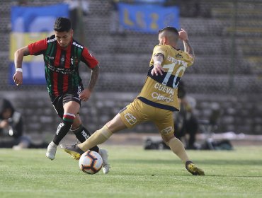 Palestino venció a Everton y escaló a la quinta posición del Torneo