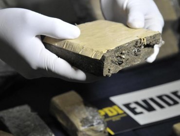 PDI La Calera incautó marihuana avaluada en más de $48 millones