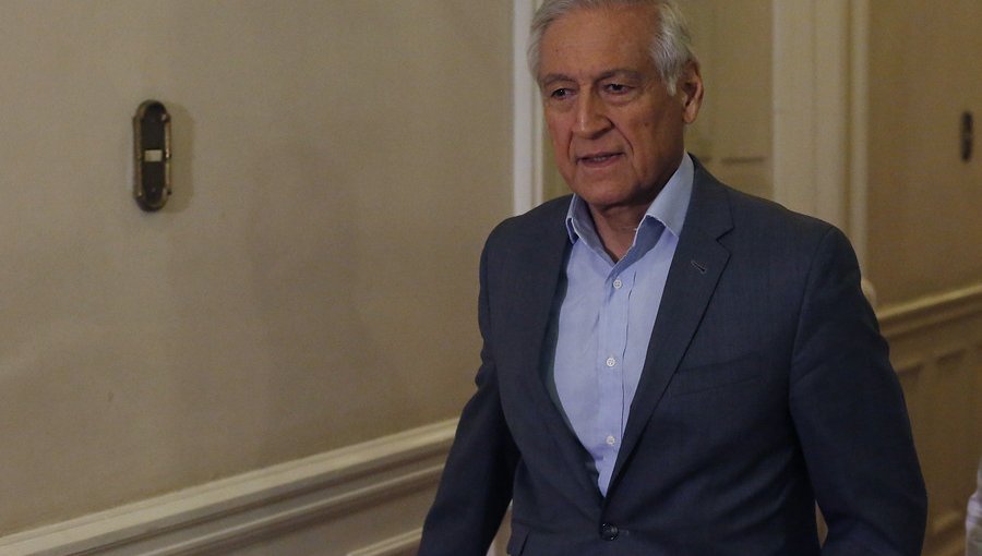 Heraldo Muñoz y votación de Dobra Lusic: "El PPD no tiene ningún compromiso"