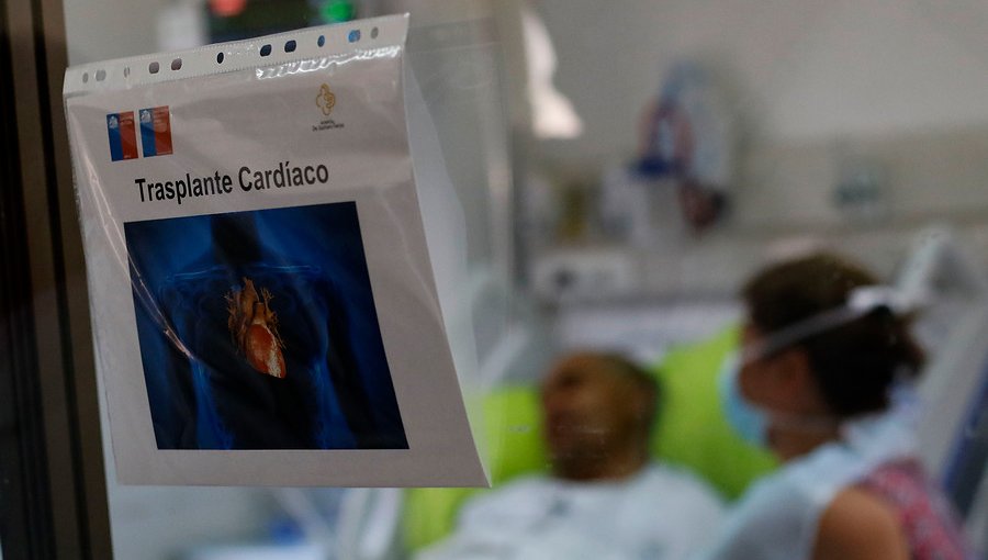 Trasplantes y donantes de órganos aumentaron durante el primer trimestre