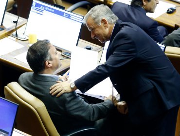 Diputados acordaron votar idea de legislar la reforma de pensiones el jueves 16