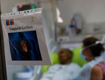 Trasplantes y donantes de órganos aumentaron durante el primer trimestre