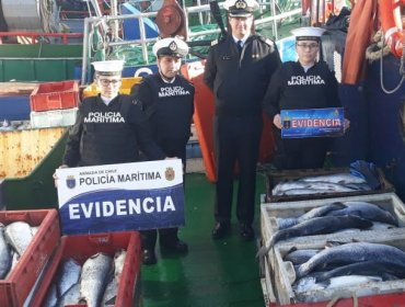 Armada incauta 15 toneladas de salmón robado desde centros de cultivo en Puerto Montt